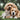 Pets are not just animals; they are family