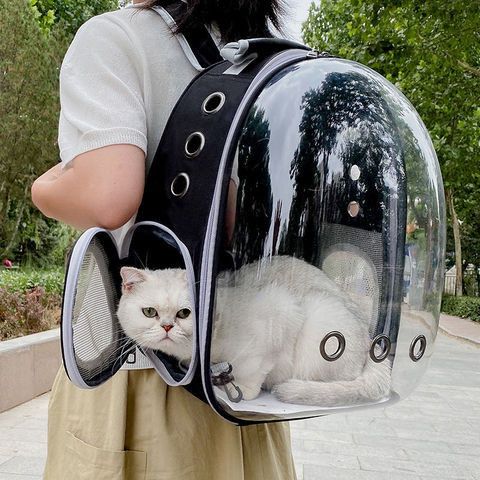 Why You Need a Portable Pet Carrier Backpack