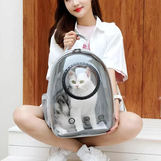 How to choose the Best Cat Backpack Carriers