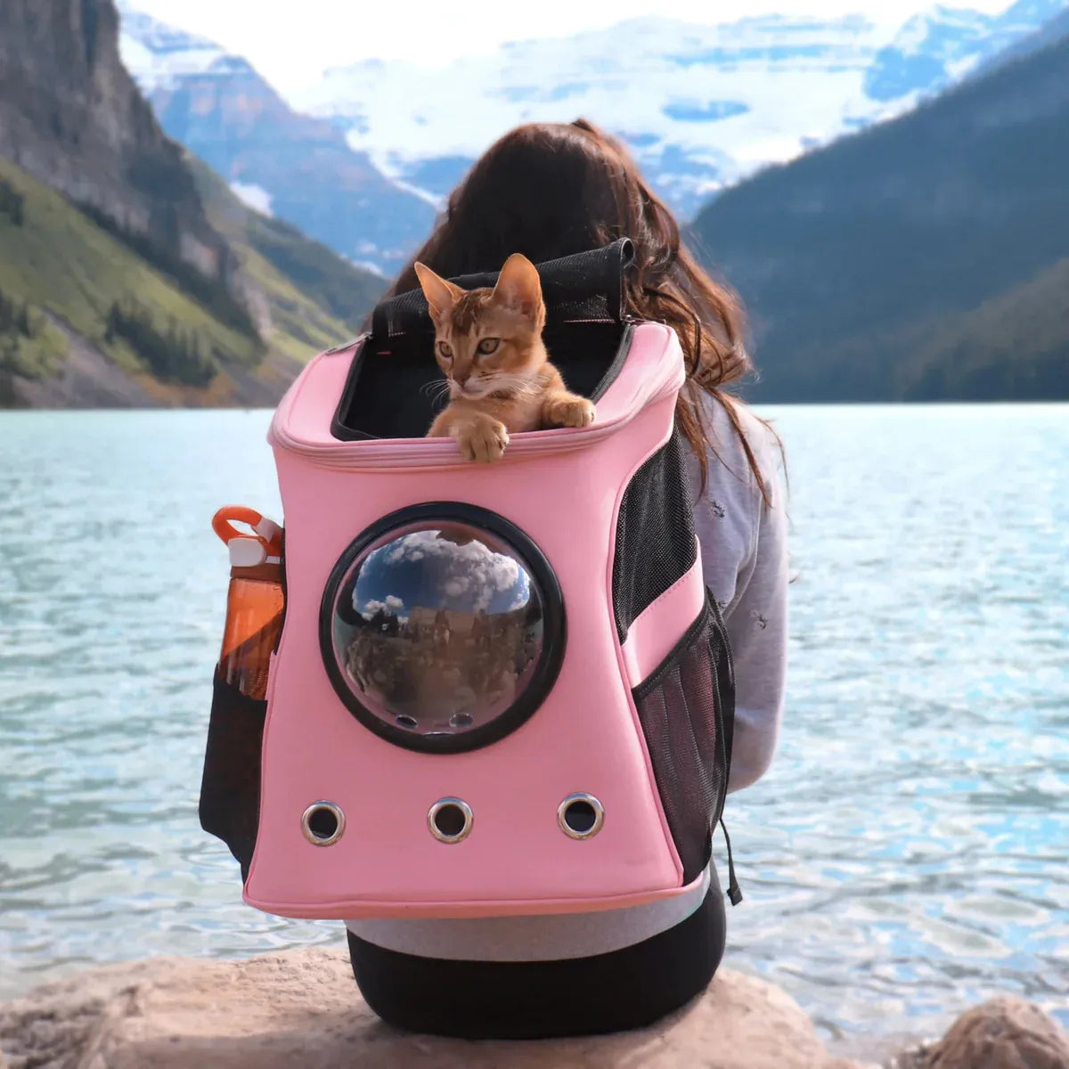 Discover the Best Cat Carrier for Feline Friends: The Fat Cat Carrier Backpack
