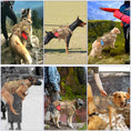 Load image into Gallery viewer, Tactical Dog Harness for Medium/Large Dogs
