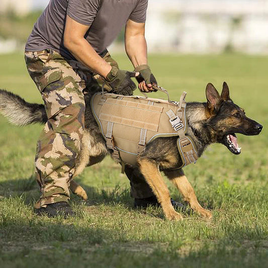 Tactical Dog Training Vest: No-Pull Harness