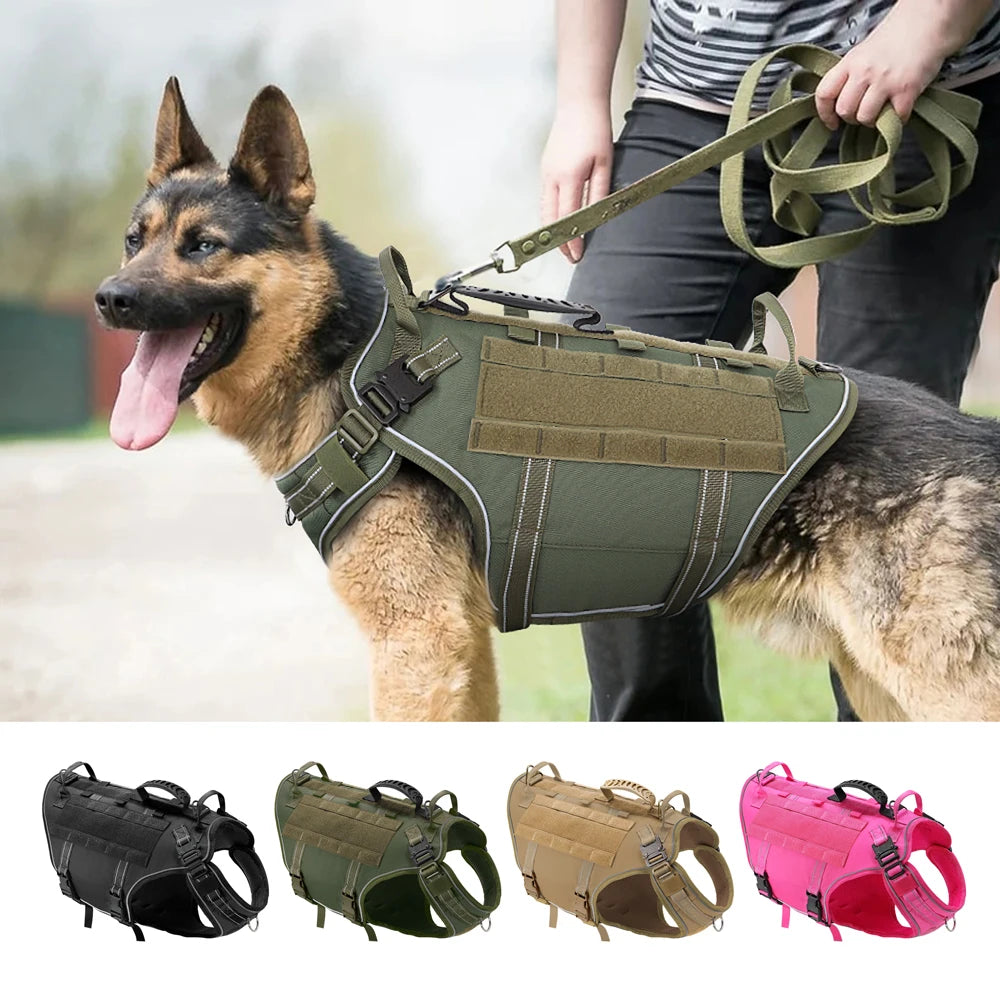 Pet Collars, Harnesses & Leashes