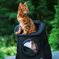 Load image into Gallery viewer, Cat Backpack Carrier with Space Capsule Bubble
