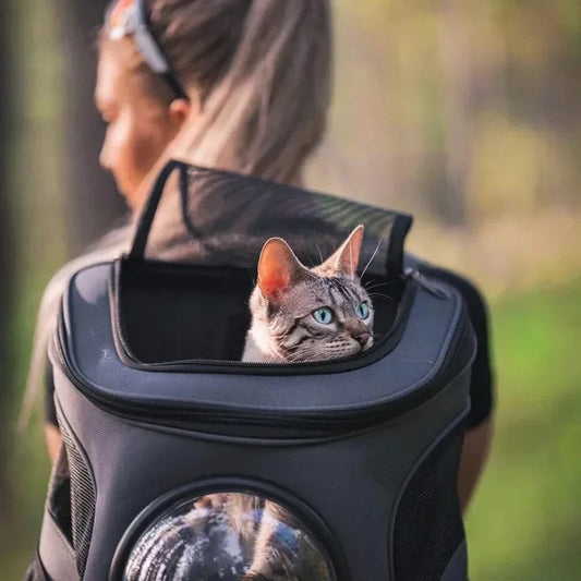 Cat backpack carrier with a space capsule bubble window for a unique view.