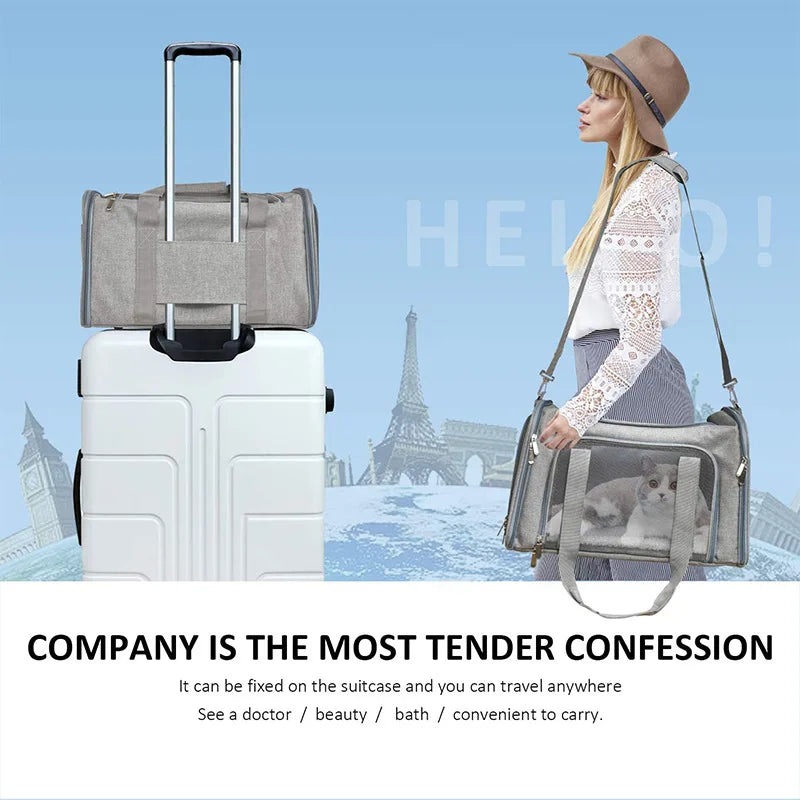 Pet Carrier Backpack for Small Dogs and Cats