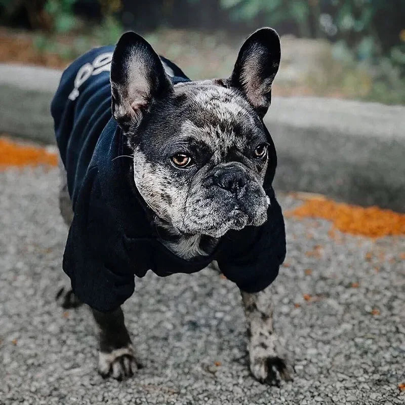 Text Pattern Dog Hoodies for Autumn and Winter