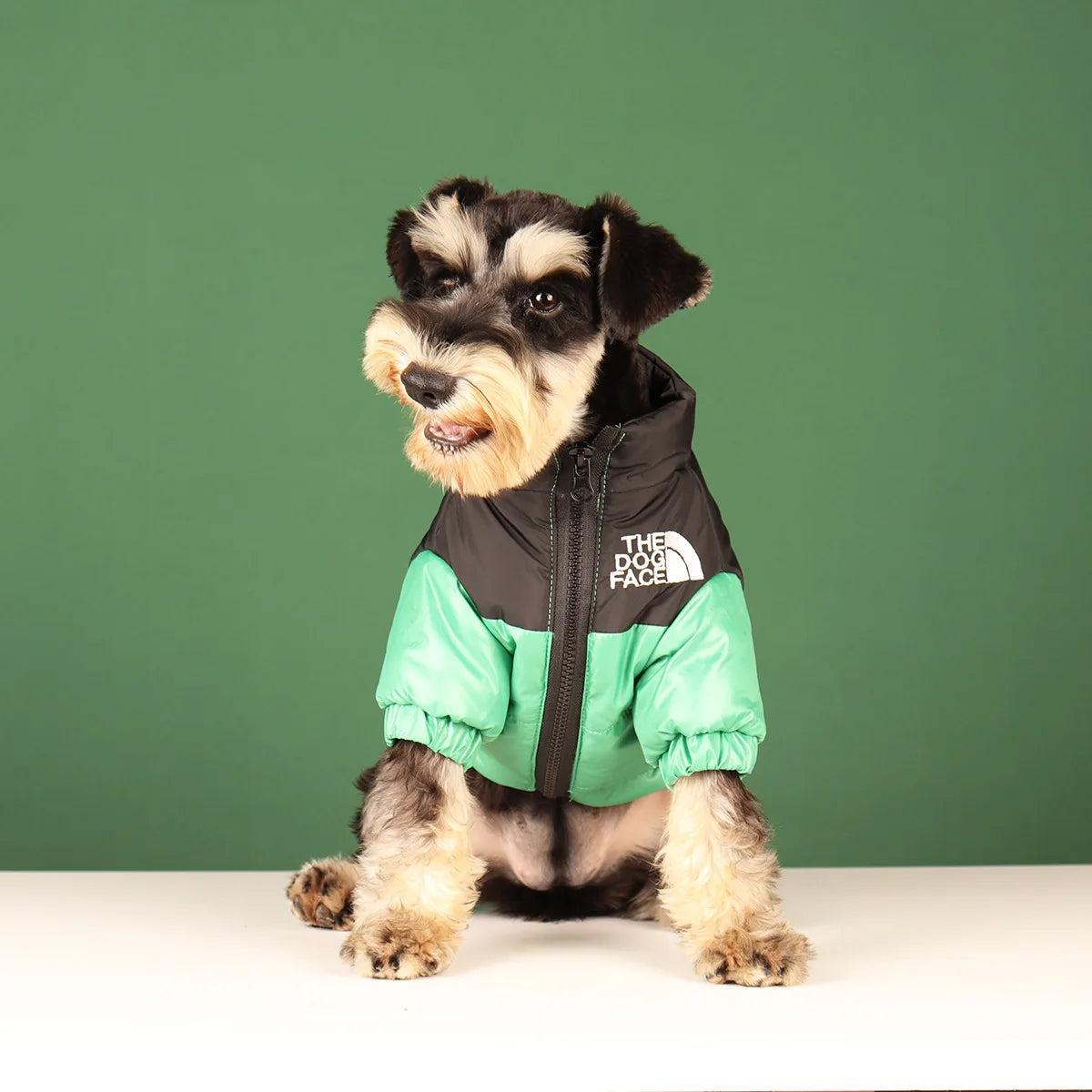 Warm Winter Dog Coat for Small & Large Dogs
