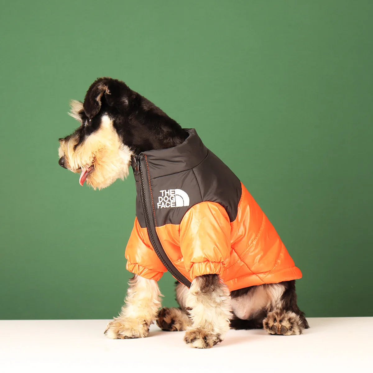 Warm Winter Dog Coat for Small & Large Dogs