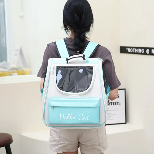 Cat backpack carrier with transparent window for travel.
