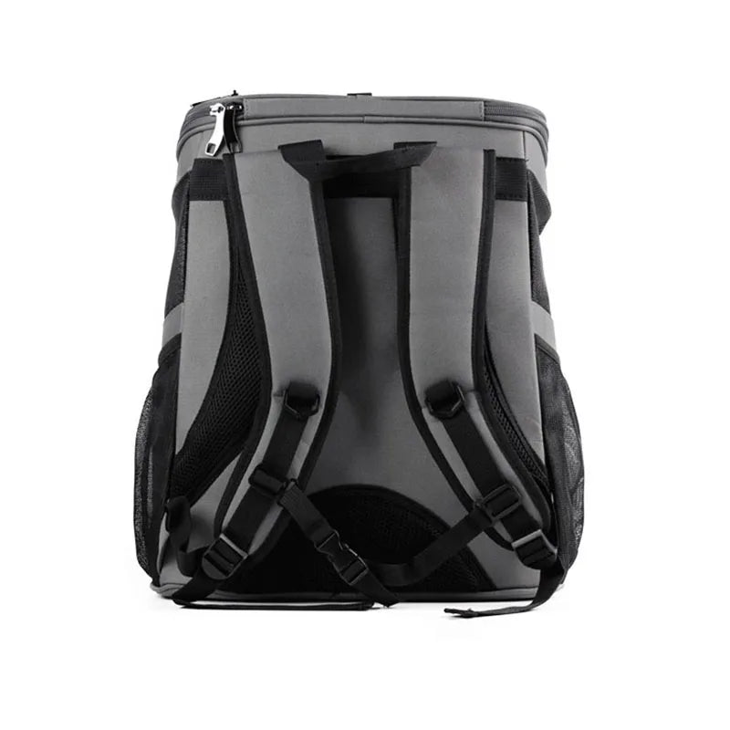 Cat Backpack Carrier with Space Capsule Bubble
