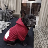 Text Pattern Dog Hoodies for Autumn and Winter