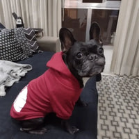 Text Pattern Dog Hoodies for Autumn and Winter
