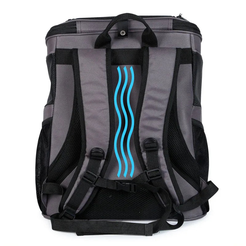 Cat Backpack Carrier with Space Capsule Bubble