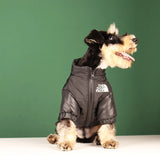 Warm Winter Dog Coat for Small & Large Dogs