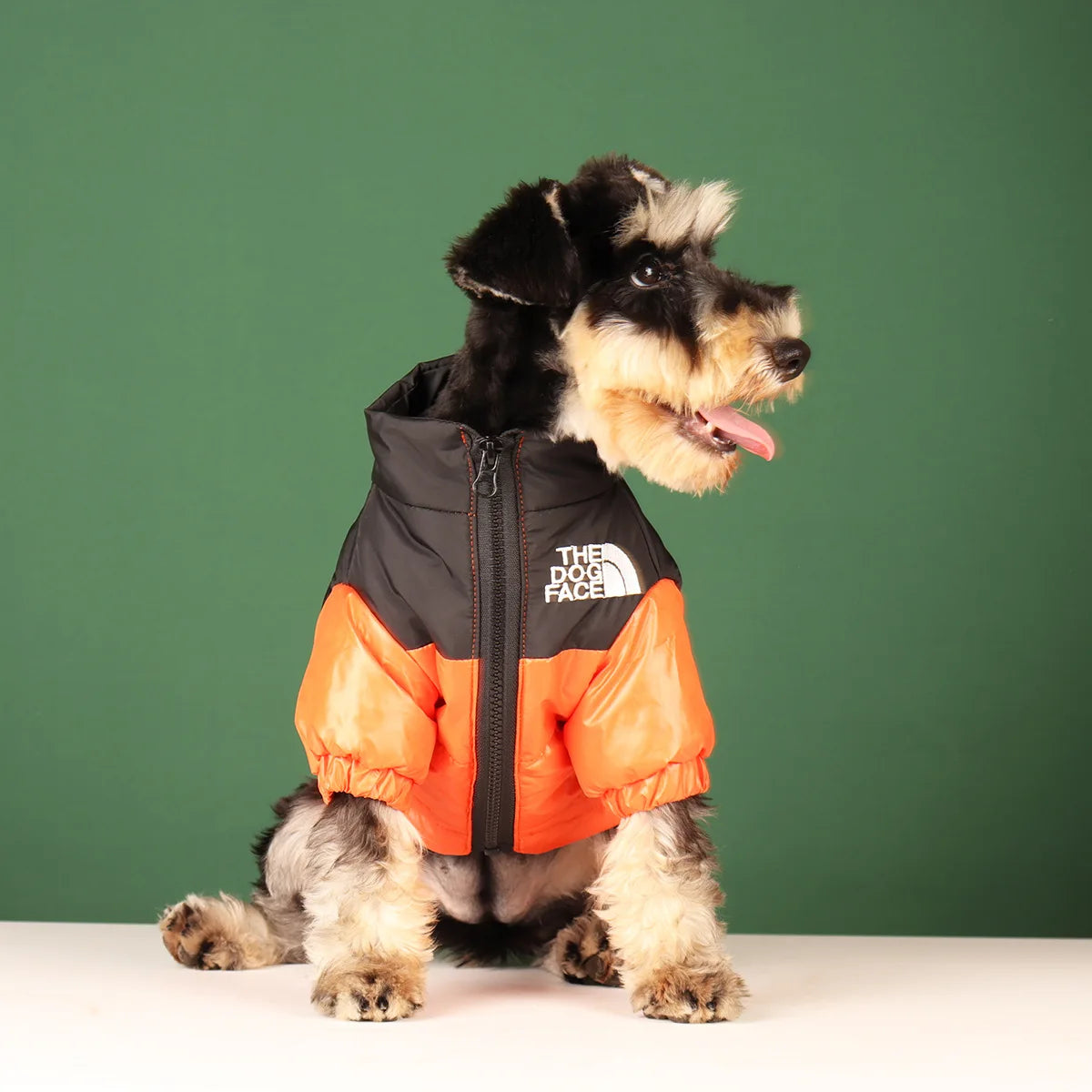Warm Winter Dog Coat for Small & Large Dogs