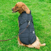 Warm Winter Dog Jacket with Built-in Harness