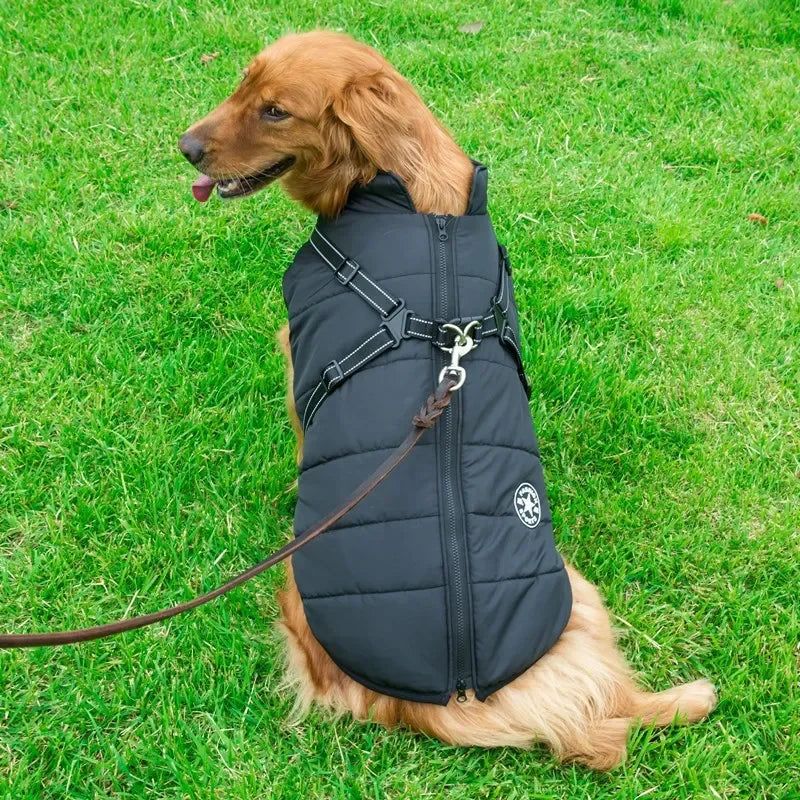 Warm Winter Dog Jacket with Built-in Harness