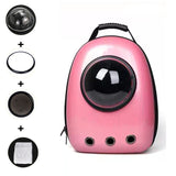 Cat Backpack Carrier: Breathable Travel Bag