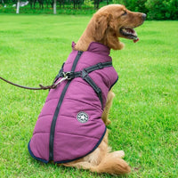Warm Winter Dog Jacket with Built-in Harness