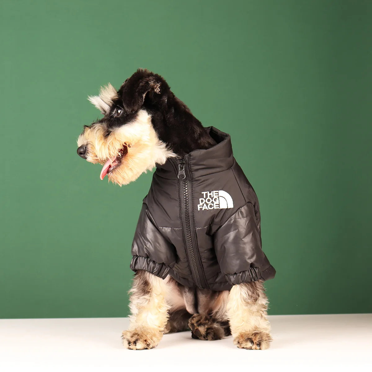 Warm Winter Dog Coat for Small & Large Dogs