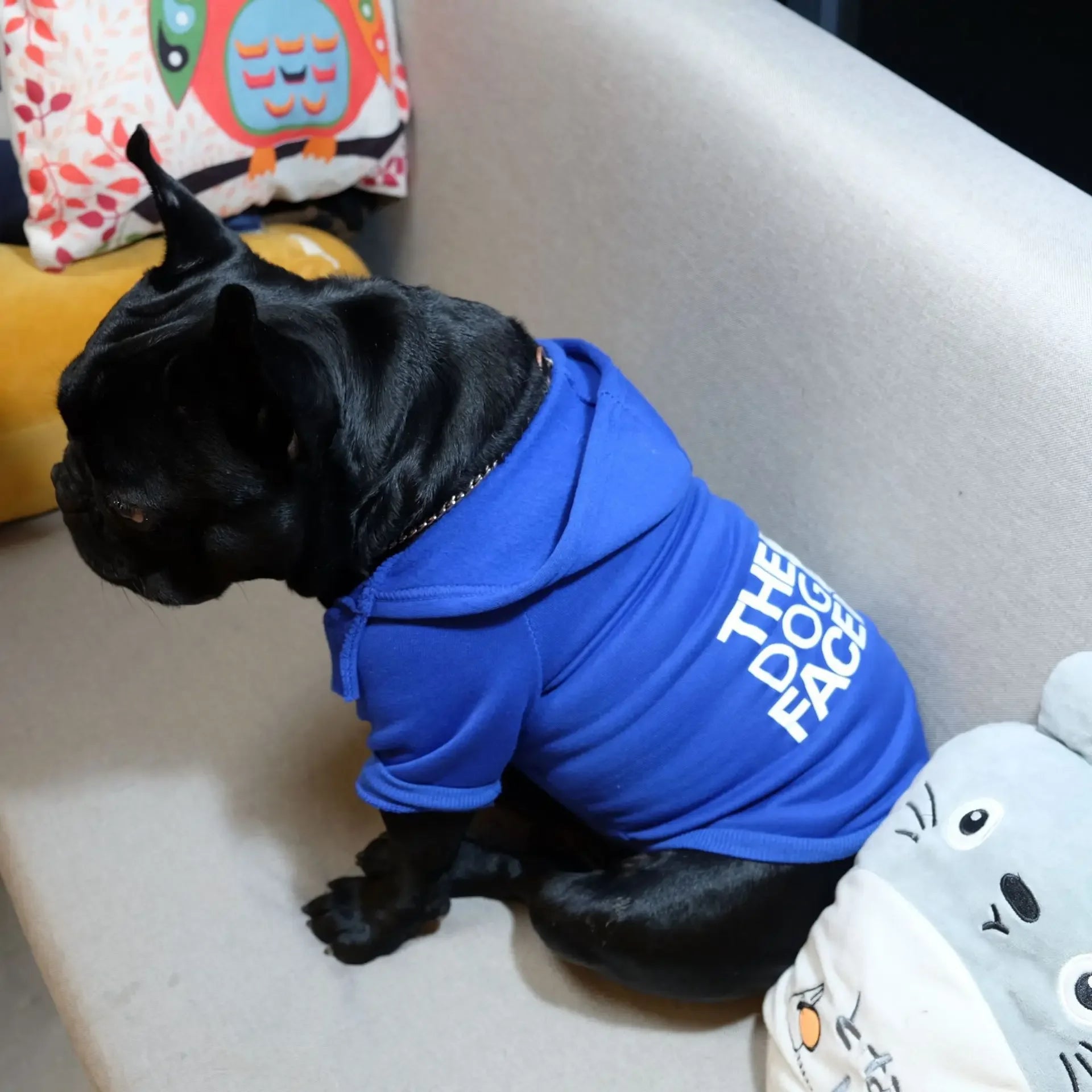 Text Pattern Dog Hoodies for Autumn and Winter