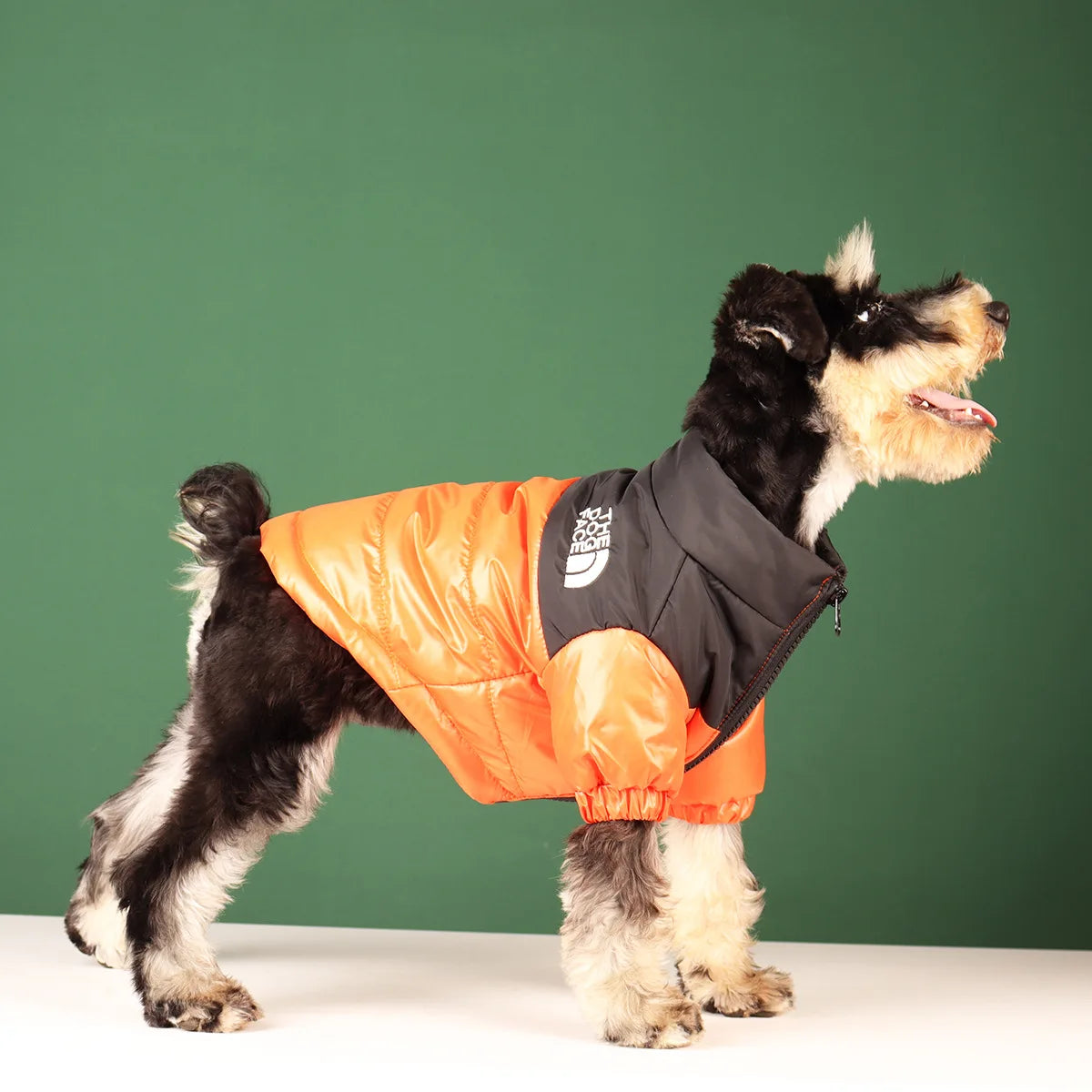 Warm Winter Dog Coat for Small & Large Dogs