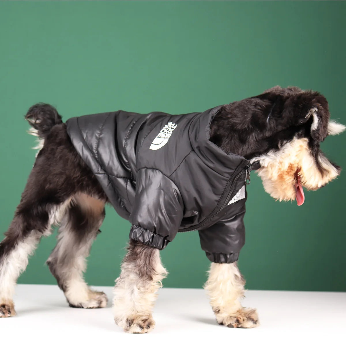 Warm Winter Dog Coat for Small & Large Dogs