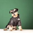 Load image into Gallery viewer, Warm Winter Dog Coat for Small & Large Dogs
