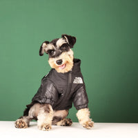 Warm Winter Dog Coat for Small & Large Dogs