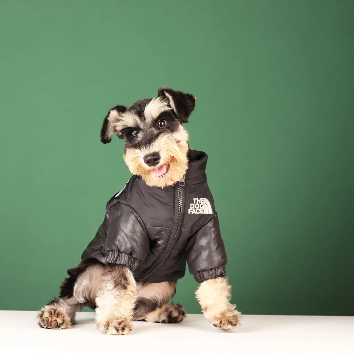 Warm Winter Dog Coat for Small & Large Dogs