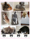 Load image into Gallery viewer, Cat Scratch Board - Corrugated Cardboard Scratcher
