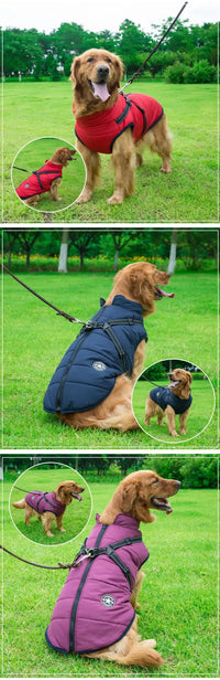Warm Winter Dog Jacket with Built-in Harness