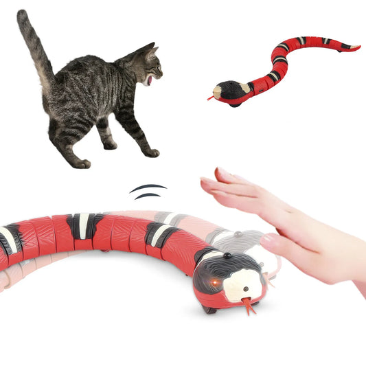Interactive cat toy, the Chetitay electronic snake, made of plastic.