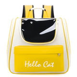 Cat Backpack Carrier for Travel: Windproof & Outdoor-Ready