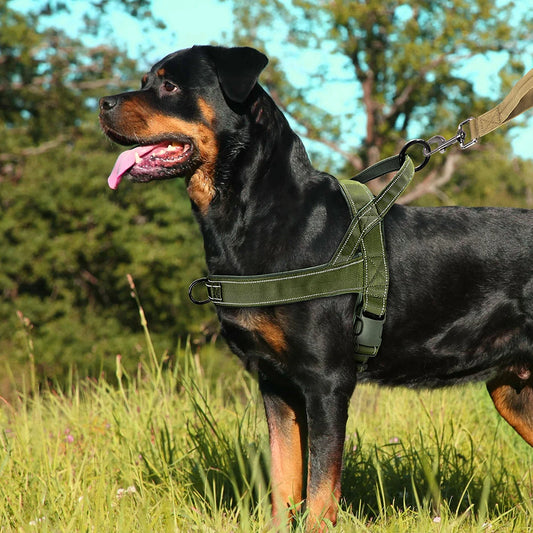 Reflective Nylon Dog Harness for Medium/Large Dogs