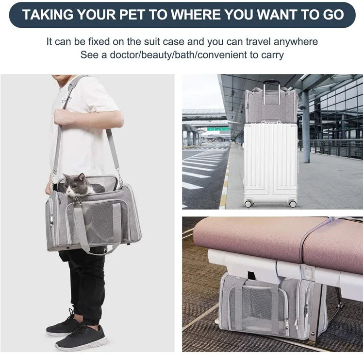 Pet Carrier Backpack for Small Dogs and Cats