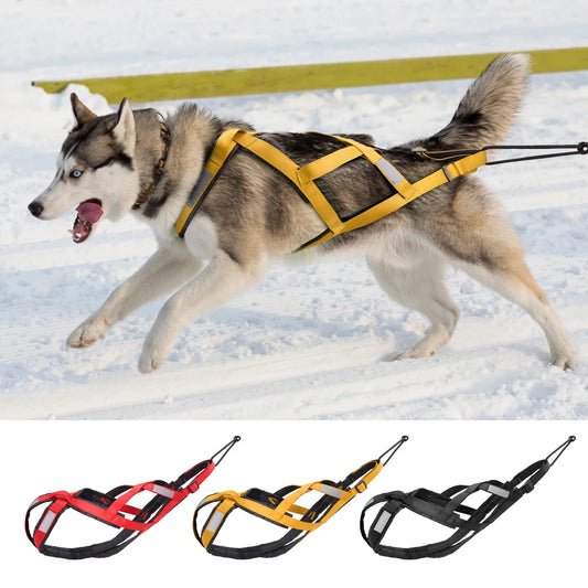 Durable nylon dog sled harness for weight pulling, suitable for active breeds like Huskies.