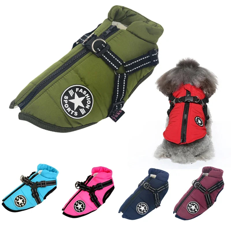 Pet Clothing
