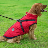 Warm Winter Dog Jacket with Built-in Harness
