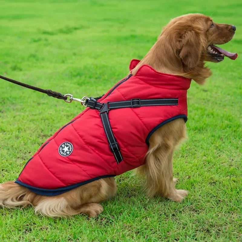 Warm Winter Dog Jacket with Built-in Harness