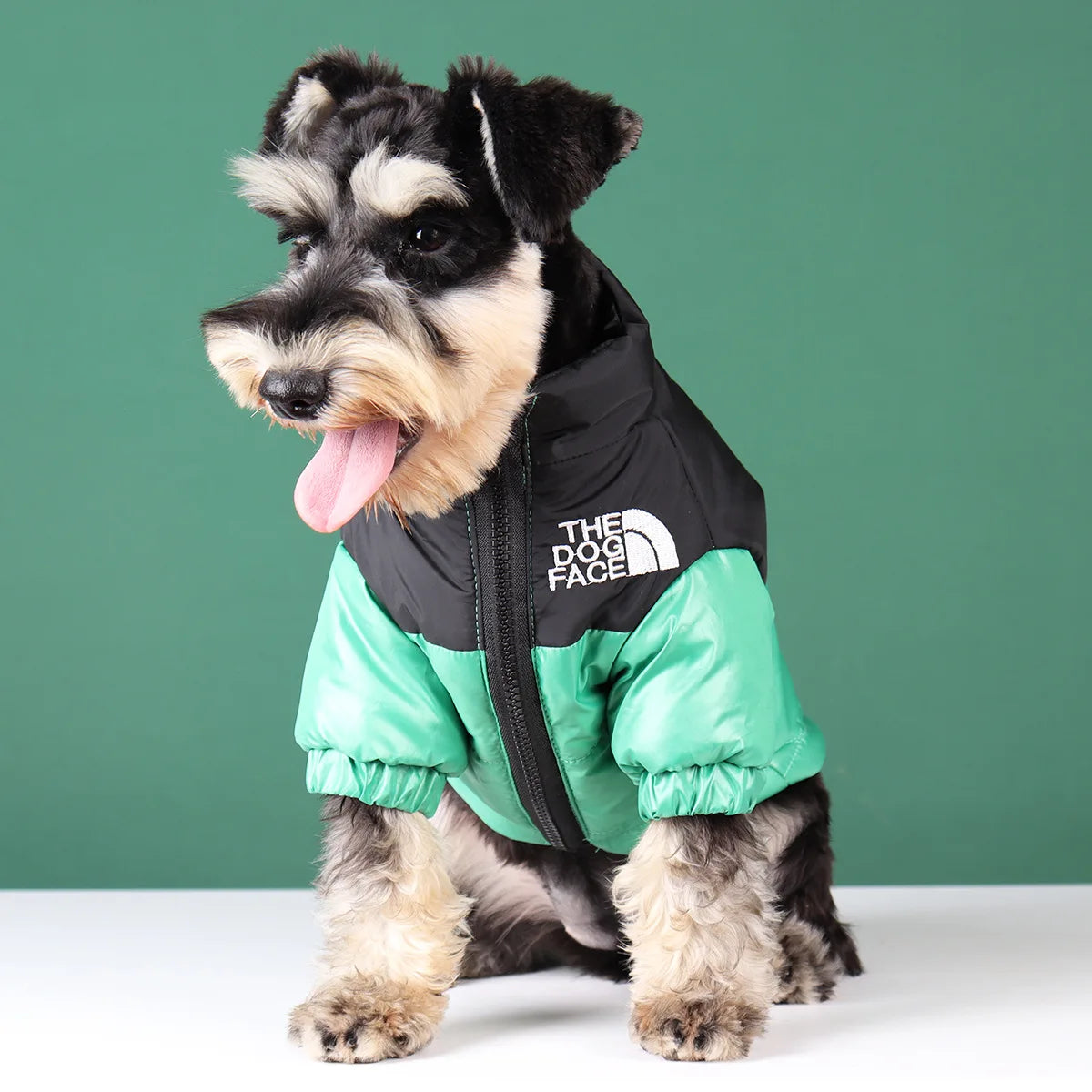 Warm Winter Dog Coat for Small & Large Dogs