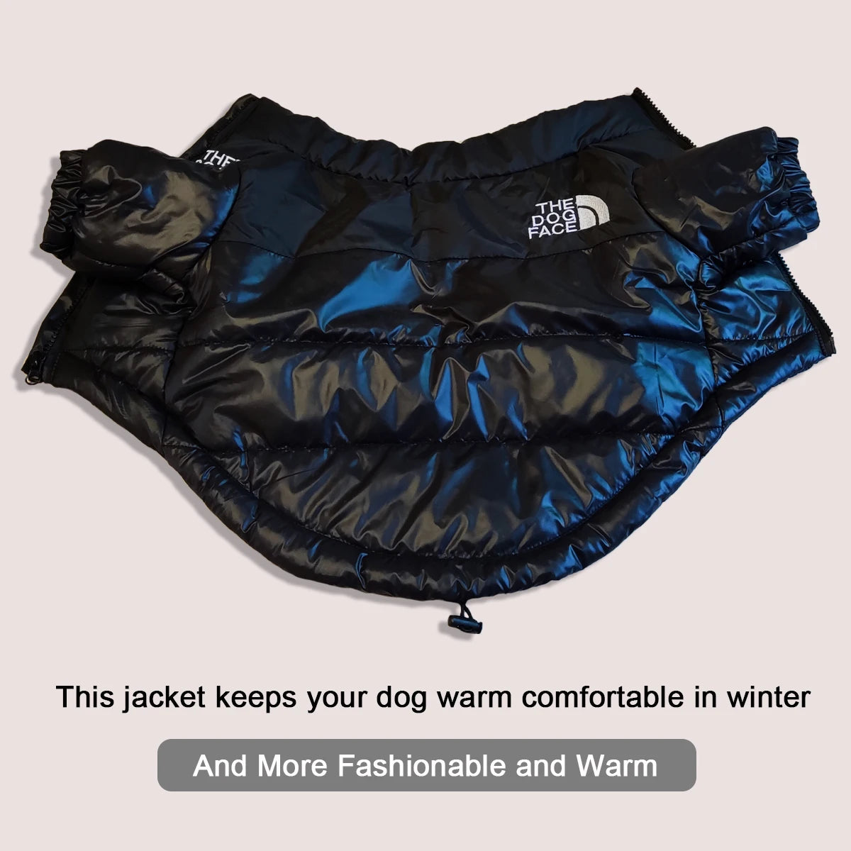 Warm Winter Dog Coat for Small & Large Dogs