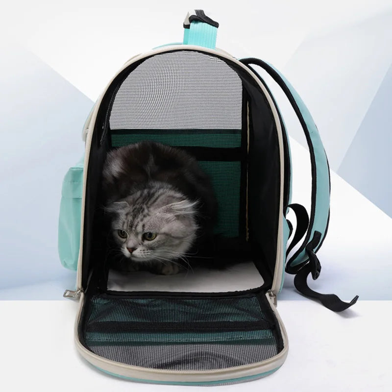 Cat Backpack Carrier for Travel: Windproof & Outdoor-Ready