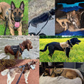 Load image into Gallery viewer, Tactical Dog Harness Vest for Training
