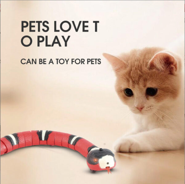 Smart Sensing Snake Cat Toy with USB Charging Best Sellers YourCatBackpack