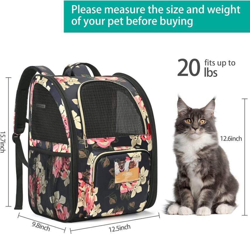 Life-Changing Travel Cat Backpack for Cats and Small Dogs Cat Carrier Backpacks YourCatBackpack