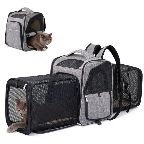 Expandable Travel Cat Carrier Backpack for Cats and Small Dogs YourCatBackpack