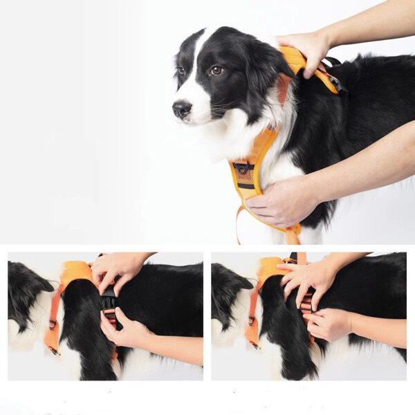 Innovative Dog Walking Harness with Retractable Leash YourCatBackpack