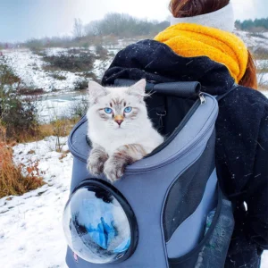 The Fat Cat Backpack Carrier Bubble for Larger Cats Best Sellers YourCatBackpack